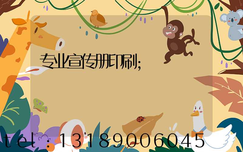 专业宣传册印刷